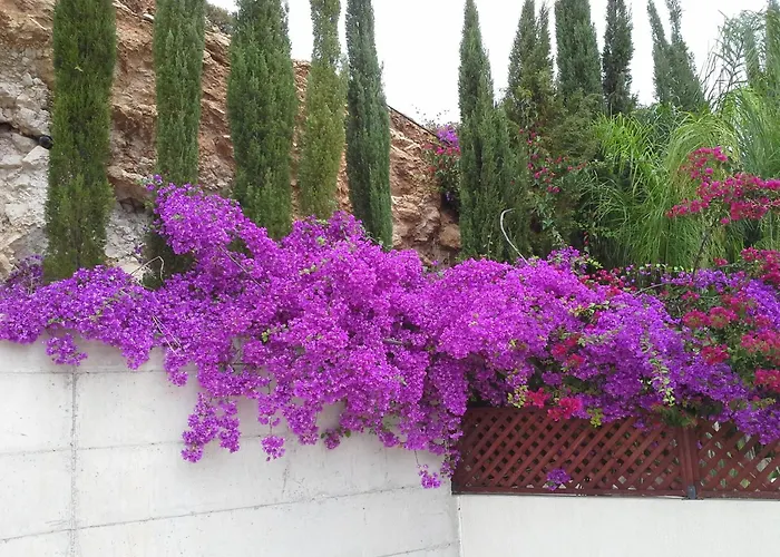 Villa Panoramic Seaview Zeus Paphos