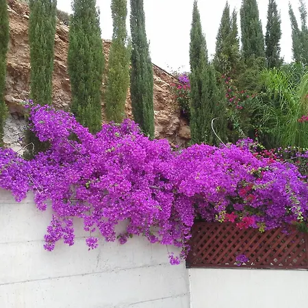 Villa Panoramic Seaview Zeus Pafos